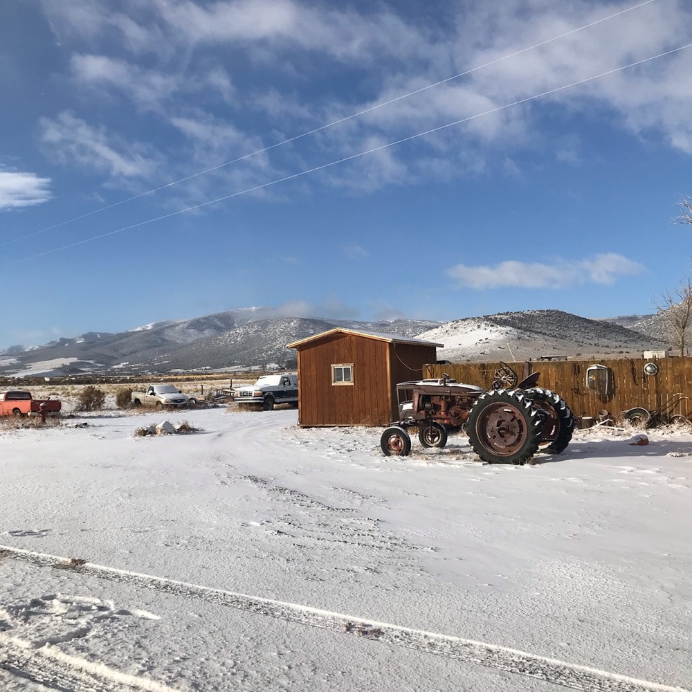 Meet your Posher, Shirley